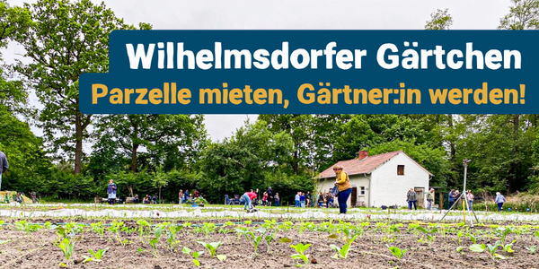 KI generiert: Das Bild zeigt eine lächelnde Person, die einen Besen hält, vor einer Holztür mit der Aufschrift "Herzlich Willkommen". Daneben sind ein Tomatenstrauch und ein Textbanner mit der Ankündigung für freie Plätze im "Wilhlemdorfer Gärtchen" im Jahr 2025 zu sehen.