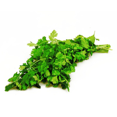 Produktfoto zu Koriander, Blatt