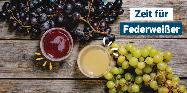 KI-generierte Beschreibung: Das Bild zeigt Federweißer, Trauben und ein Glas Rotwein. Text: "Zeit für Federweißer".
