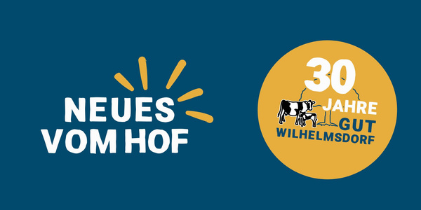 Logo mit dem Text "NEUES VOM HOF" und "30 JAHRE GUT WILHELMSDORF" auf blauem Hintergrund.