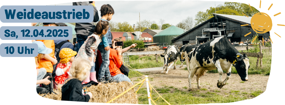 KI generiert: Das Bild zeigt Kühe, die von einem Hof auf eine Weide geführt werden. Es handelt sich um ein Event mit dem Titel "Weideaustrieb" am 12. April 2025 um 10 Uhr.