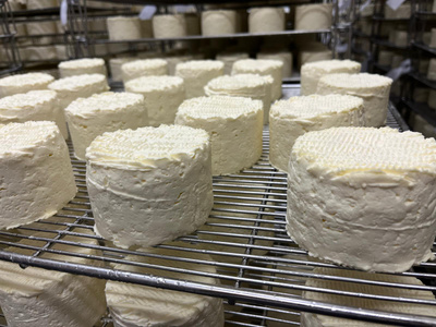 Weichkäse weicht auf sogenannten Metall-Horden.