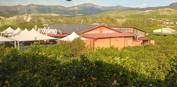 Ein rotes Gebäude mitten in Orangen-Hainen mit der großen Aufschrift "L'arcobaleno Coop. Agri. Bio."
