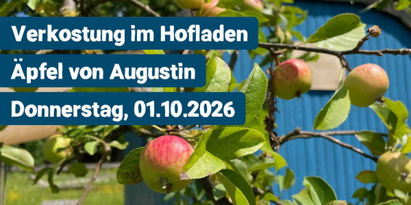 KI generiert: Äpfel am Baum vor blauem Gebäude, Text: "Verkostung im Hofladen, Äpfel von Augustin, Donnerstag, 01.10.2026".