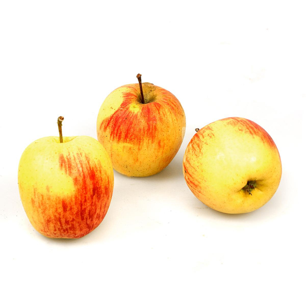 Produktfoto zu Apfel, James Grieve