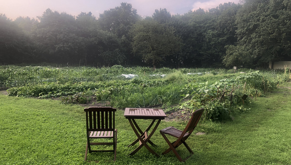 KI generiert: Ein hölzerner Tisch mit zwei Stühlen vor einem grünen Gemüsegarten.