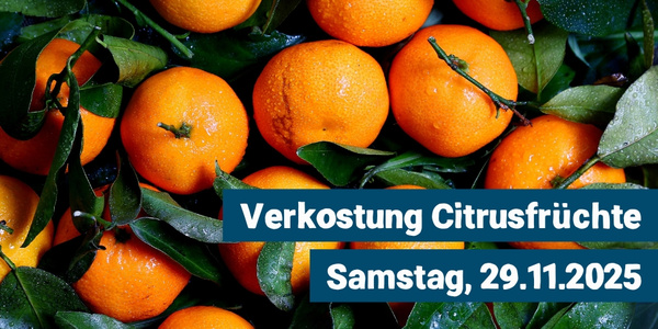 KI generiert: Das Bild zeigt eine gelbe Blüte auf einem Hintergrund aus grünen Blättern. Darauf ist Text platziert, der auf einen Pflanzenmarkt am Freitag, den 02.05.2025, und Samstag, den 03.05.2025, hinweist.