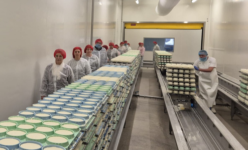 Eine Besuchergruppe in der Käserei geht entlang der vielen Käselaibe.