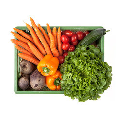 Produktfoto zu Rohkost