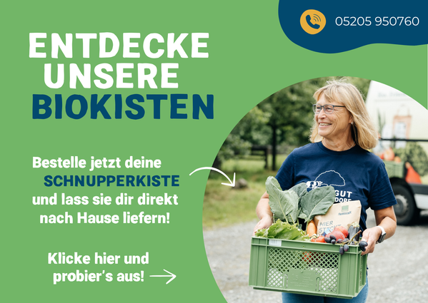 KI generiert: Eine Frau hält eine Biokiste mit Gemüse. Text: "ENTDECKE UNSERE BIOKISTEN - Bestelle jetzt deine SCHNUPPERKISTE..."