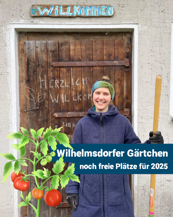 KI generiert: Das Bild zeigt eine lächelnde Person vor einer Holztür mit der Aufschrift "Wilhelmsdorfer Gärtchen" und einem Schild, das auf freie Plätze für 2025 hinweist. Die Szene vermittelt eine einladende Atmosphäre mit einem Fokus auf Gartenarbeit oder eine Gartengemeinschaft.