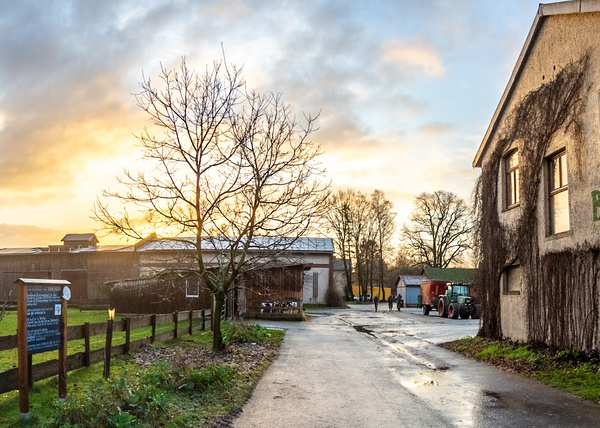 Gut Wilhelmsdorf der Hof Landwirtschaft Biokiste Hofmolkerei Imkerei