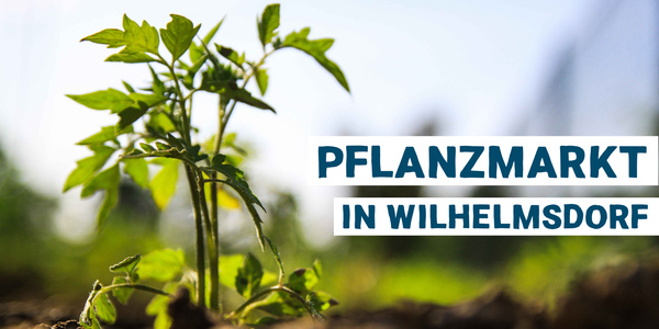 Pflanzmarkt auf Gut Wilhelmsdorf