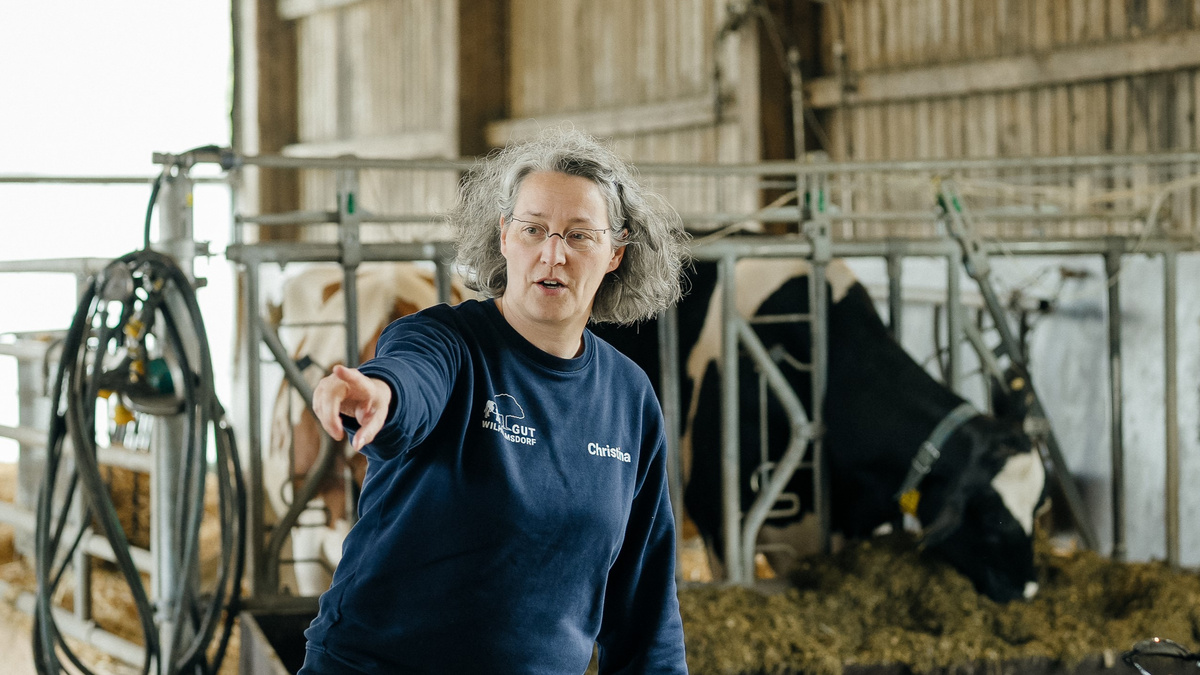 KI generiert: Eine Person zeigt in einem Viehstall auf etwas. Text: "Christina" auf dem Pullover.