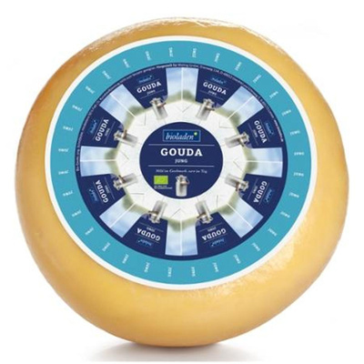 Produktfoto zu Junger Gouda im ganzen Laib
