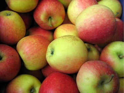 Produktfoto zu Apfel, Honeycrisp