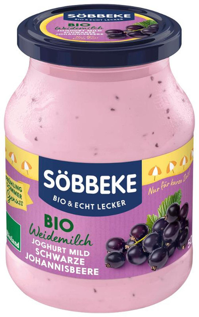 Produktfoto zu Schwarze Johannisbeer Joghurt