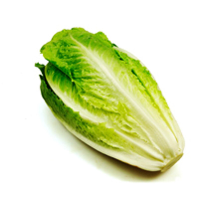 Produktfoto zu Mini-Romanasalat