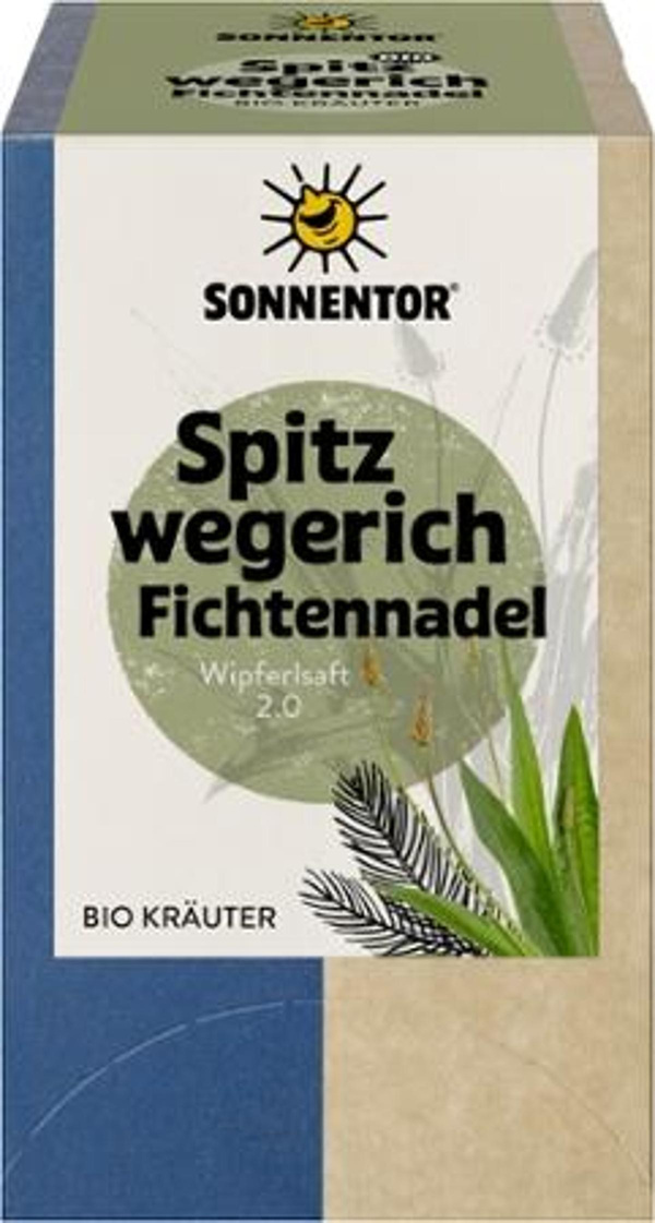 Produktfoto zu Spitzwegerich Fichtennadel Tee im Teebeutel