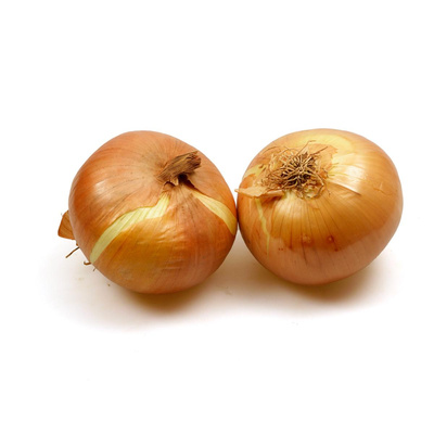 Produktfoto zu Gemüsezwiebeln, neue Ernte