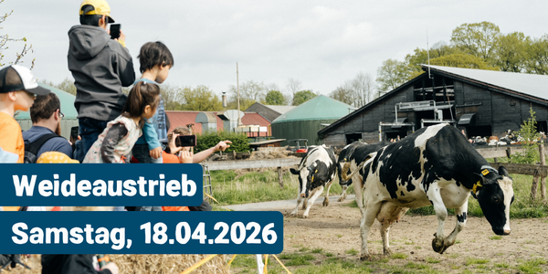 KI generiert: Das Bild zeigt eine gelbe Blüte auf einem Hintergrund aus grünen Blättern. Darauf ist Text platziert, der auf einen Pflanzenmarkt am Freitag, den 02.05.2025, und Samstag, den 03.05.2025, hinweist.