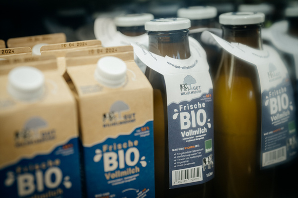 KI generiert: Flaschen und Kartons mit "Frische BIO Vollmilch" im Regal. Text: "www.gut-wilhelmsdorf.de".