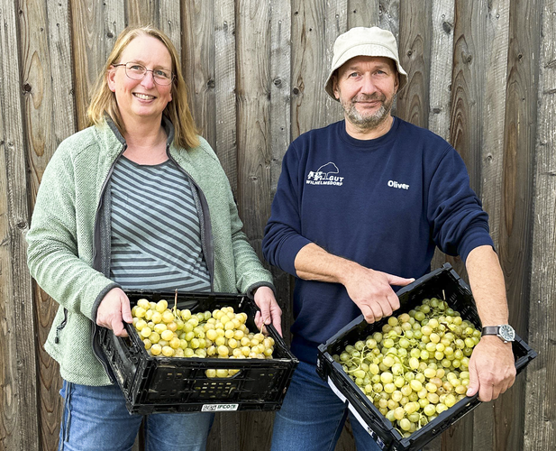 Tanja und Oli halten lächelnd vor einer Holzwand Kisten mit selbst geernteten Trauben von der Plantage von Don Luigi auf Sizilien.