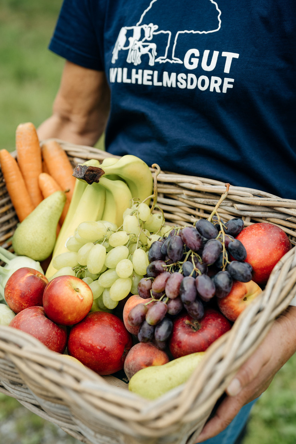 Büroobst Biobüroobst Obstkorb Frisches fürs Büro Arbeitsplatz Biokiste Lieferdienst Biohof Gut Wilhelmsdorf