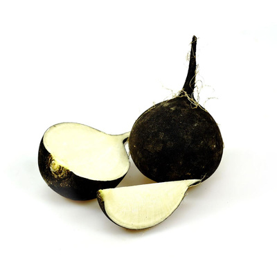 Produktfoto zu Rettich, lila