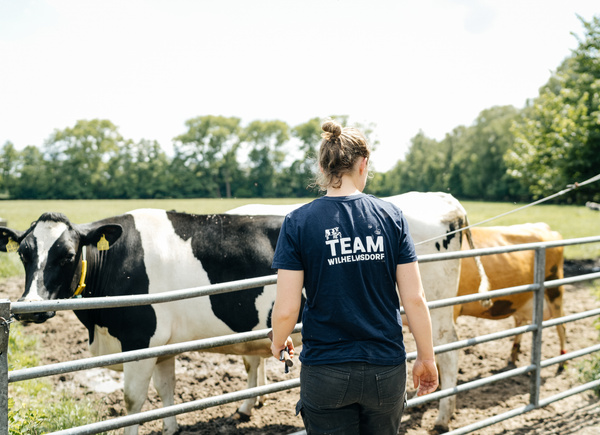 KI generiert: Person auf einer Weide mit Kühen; trägt T-Shirt mit Aufschrift "Team Wilhelmsdorf".