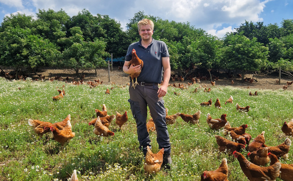 KI-generierte Beschreibung: Ein Mann hält eine Karotte in einem Feld mit vielen Karotten.