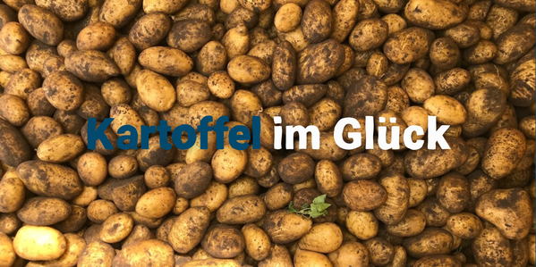 Gesund in das neue Jahr starten