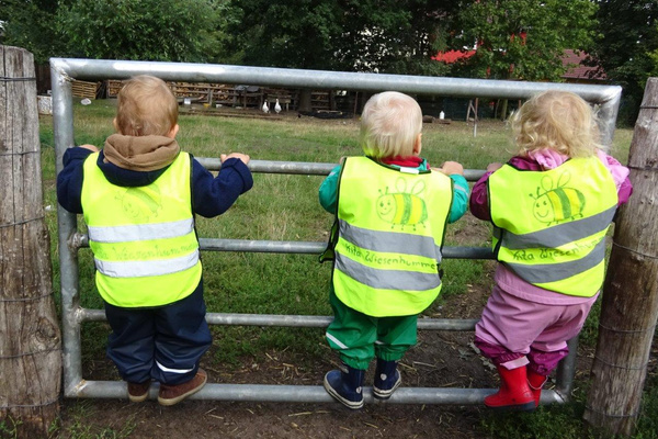 KI generiert: Drei Kinder in gelben Warnwesten schauen durch einen Zaun auf eine Wiese. Text: "Kita Wiesenhummel".
