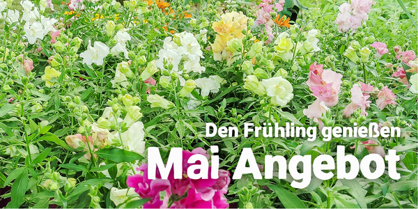 Kaninchen im Gras mit Text: "Für frohe Ostern Oster Angebot".