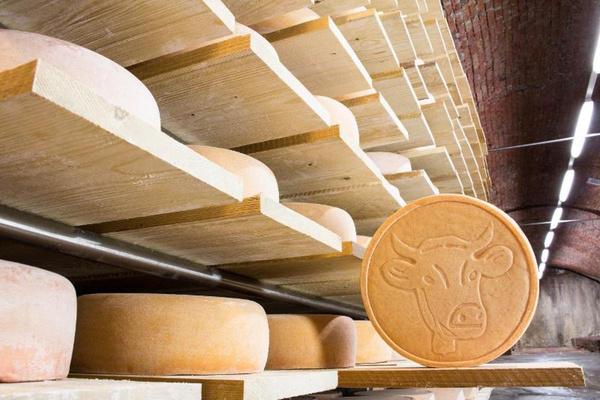 Produktfoto zu Allgäuer Hornkäse höhlengereift