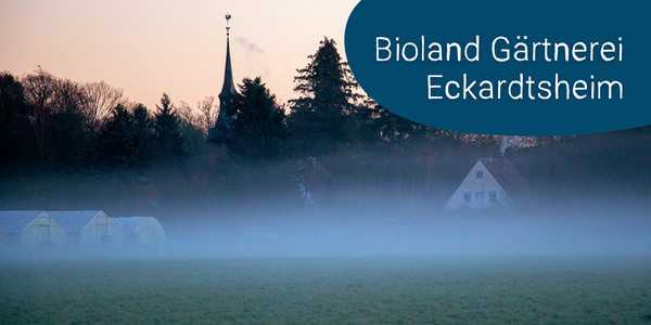 KI generiert: Das Bild zeigt eine neblige Landschaft mit einem Kirchturm, Bäumen, Gewächshäusern und einem Haus im Hintergrund. Es handelt sich um die Bioland Gärtnerei Eckardtsheim.