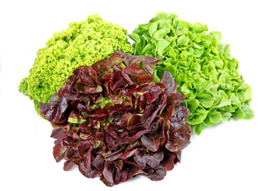 Produktfoto zu Wechselnder Salat