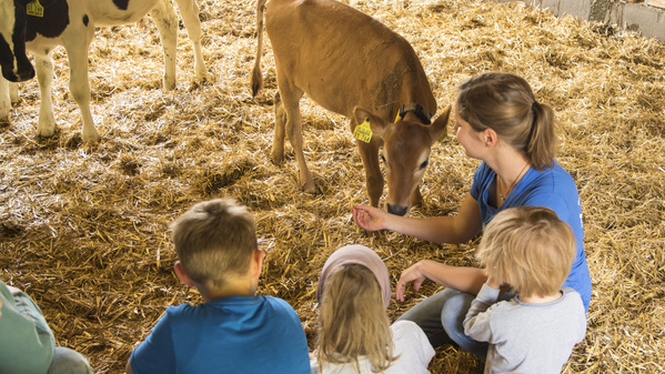 Blog Neues vom Hof Aktuelles Hofneuigkeiten Biohof Gut WIlhelmsdorf