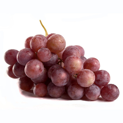 Produktfoto zu Weintrauben, rot