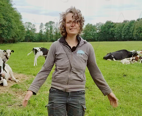 KI generiert: Eine Person steht lächelnd auf einer Wiese mit Kühen im Hintergrund.