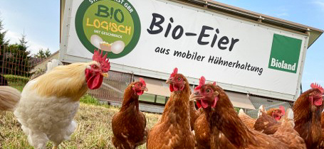 KI-generierte Beschreibung: Hauptinhalt: Bio-Eier aus mobiler Hühnerhaltung. Text: "Bio-Eier aus mobiler Hühnerhaltung BioLand".