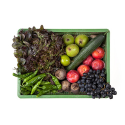 Produktfoto zu Single Sortiment