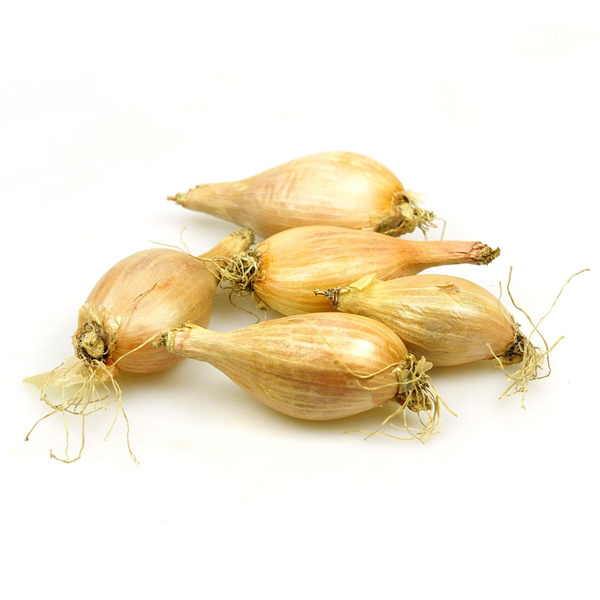 Produktfoto zu Schalotten neue Ernte