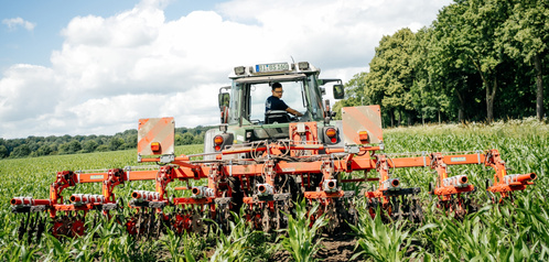 Landwirtschaft Bioland Biohof Biobauernhof Gut Wilhelmsdrf