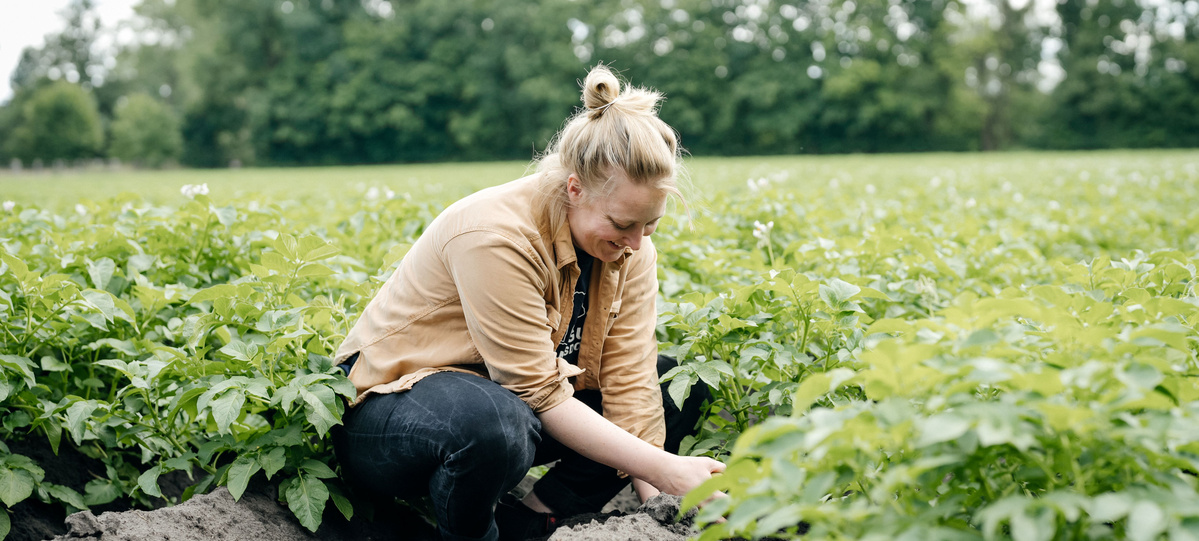 KI generiert: Person auf einem Feld, die Pflanzen pflegt, umgeben von grünem Laub.