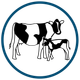 user-icon