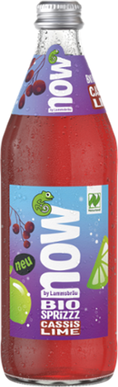 Produktfoto zu now Sprizzz Cassis Lime 10x0,5