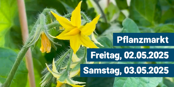 KI generiert: Das Bild zeigt eine gelbe Blüte auf einem Hintergrund aus grünen Blättern. Darauf ist Text platziert, der auf einen Pflanzenmarkt am Freitag, den 02.05.2025, und Samstag, den 03.05.2025, hinweist.