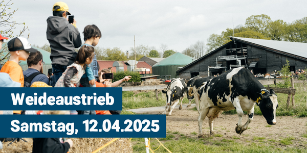 KI generiert: Das Bild zeigt eine Gruppe von Menschen, die den Weideaustrieb von Kühen beobachten. Im Hintergrund sind landwirtschaftliche Gebäude und eine Wiese zu sehen, während ein Text das Datum der Veranstaltung, den 12.04.2025, nennt.