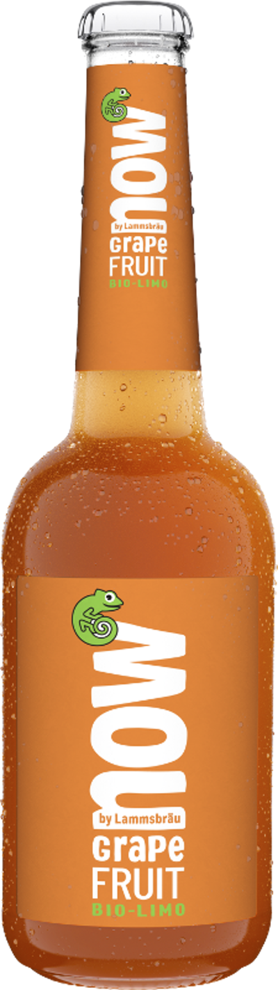 Produktfoto zu now Grapefruit 10 x 0,33 l